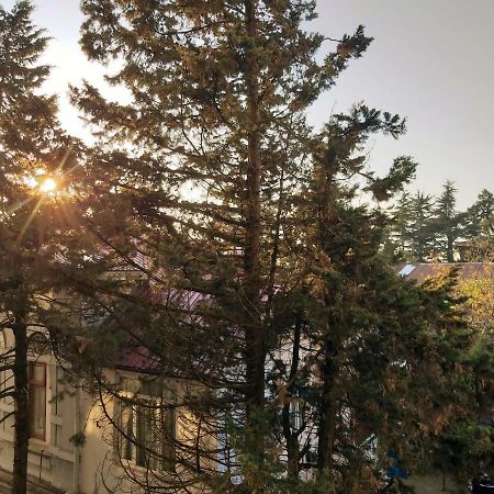 Boulevard Apartment Batumi Ngoại thất bức ảnh